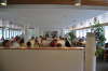 DSC_0157 (Small)